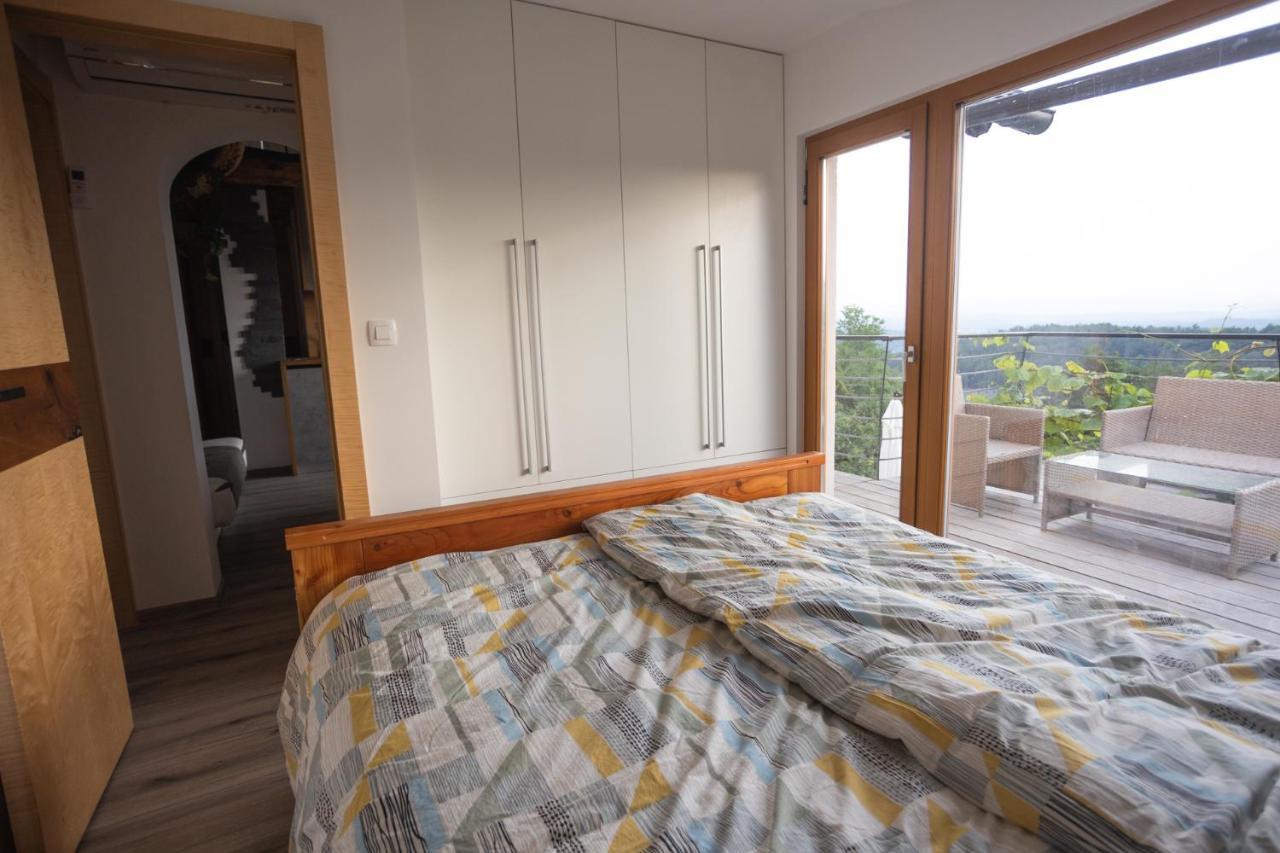 Vineyard cottage Sonce Sentvid Pri Sticni Esterno foto