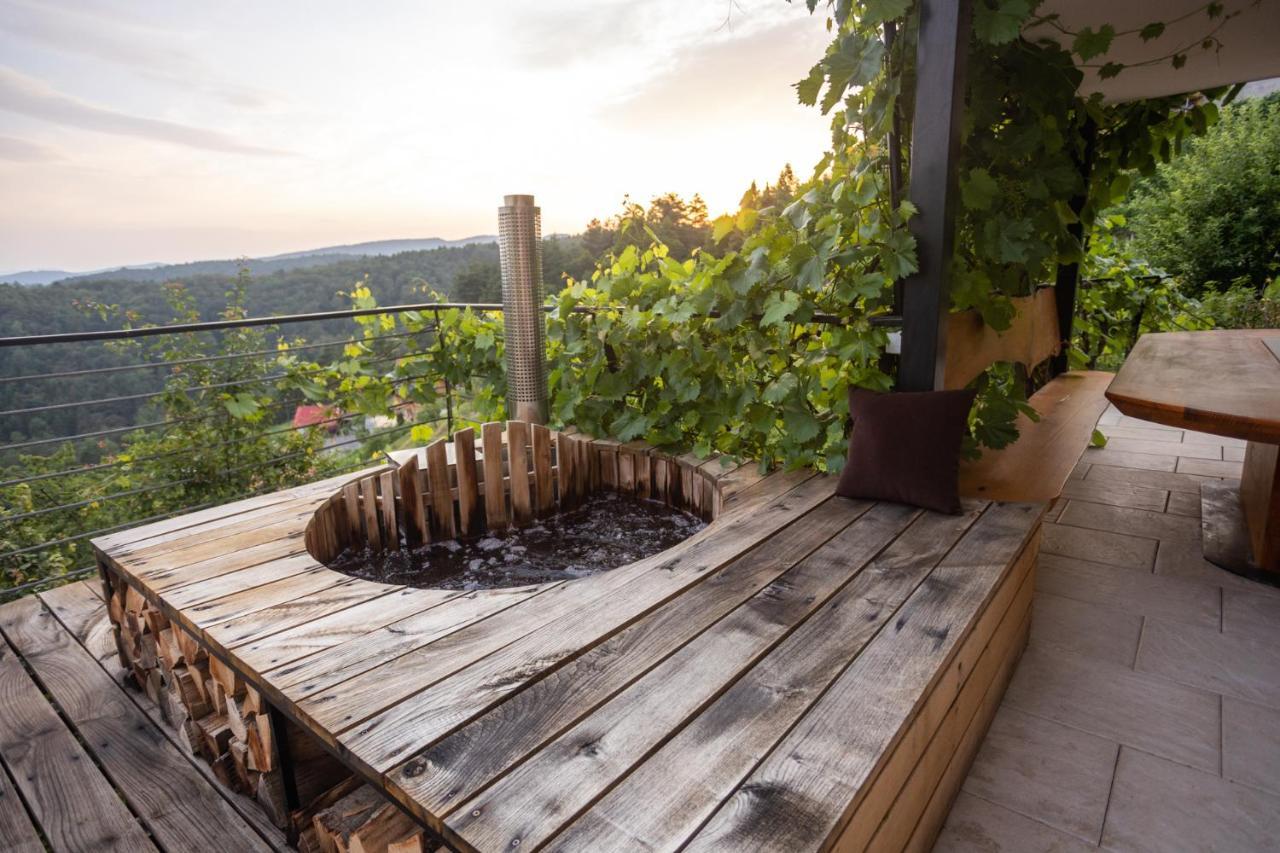 Vineyard cottage Sonce Sentvid Pri Sticni Esterno foto