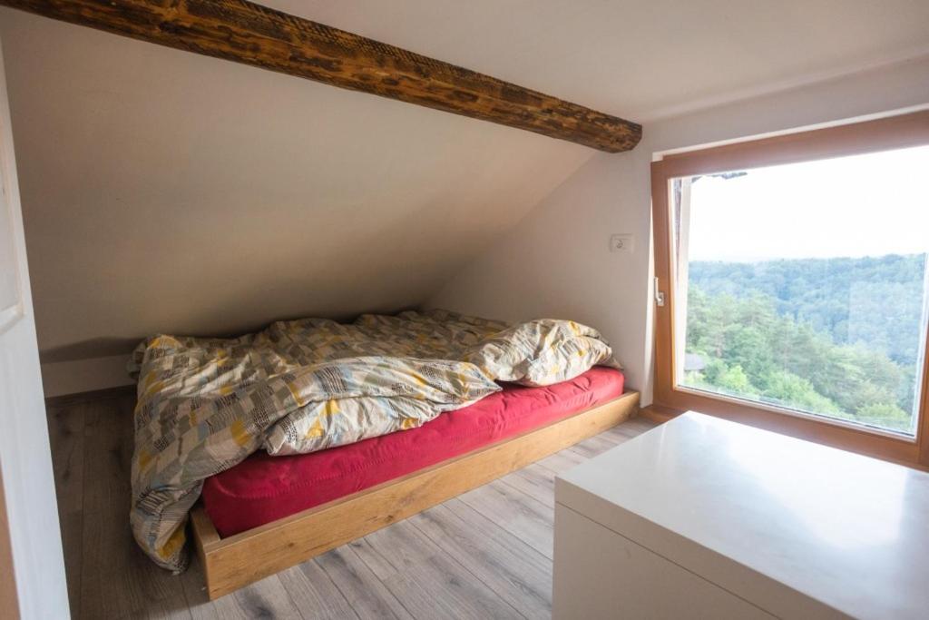 Vineyard cottage Sonce Sentvid Pri Sticni Esterno foto